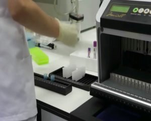 Estudios Personalizados GPA