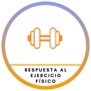 Respuesta al ejercicio físico
