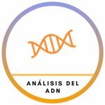 Análisis de ADN
