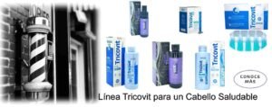 Indice Linea Capilar GPA 2025