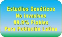 Estudios Genéticos No Invasivos